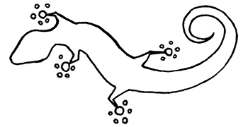 Hand Drawn Lizard